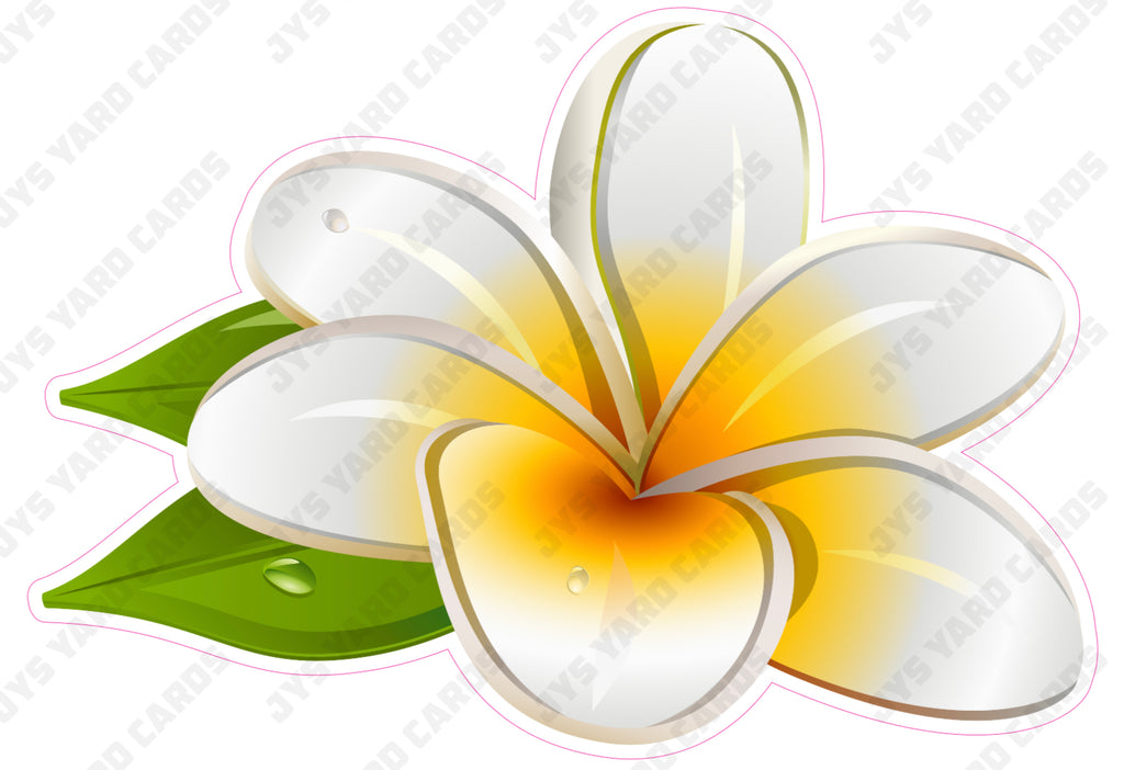 FLOWER: PLUMERIA - Yard Card Signs by JYS International