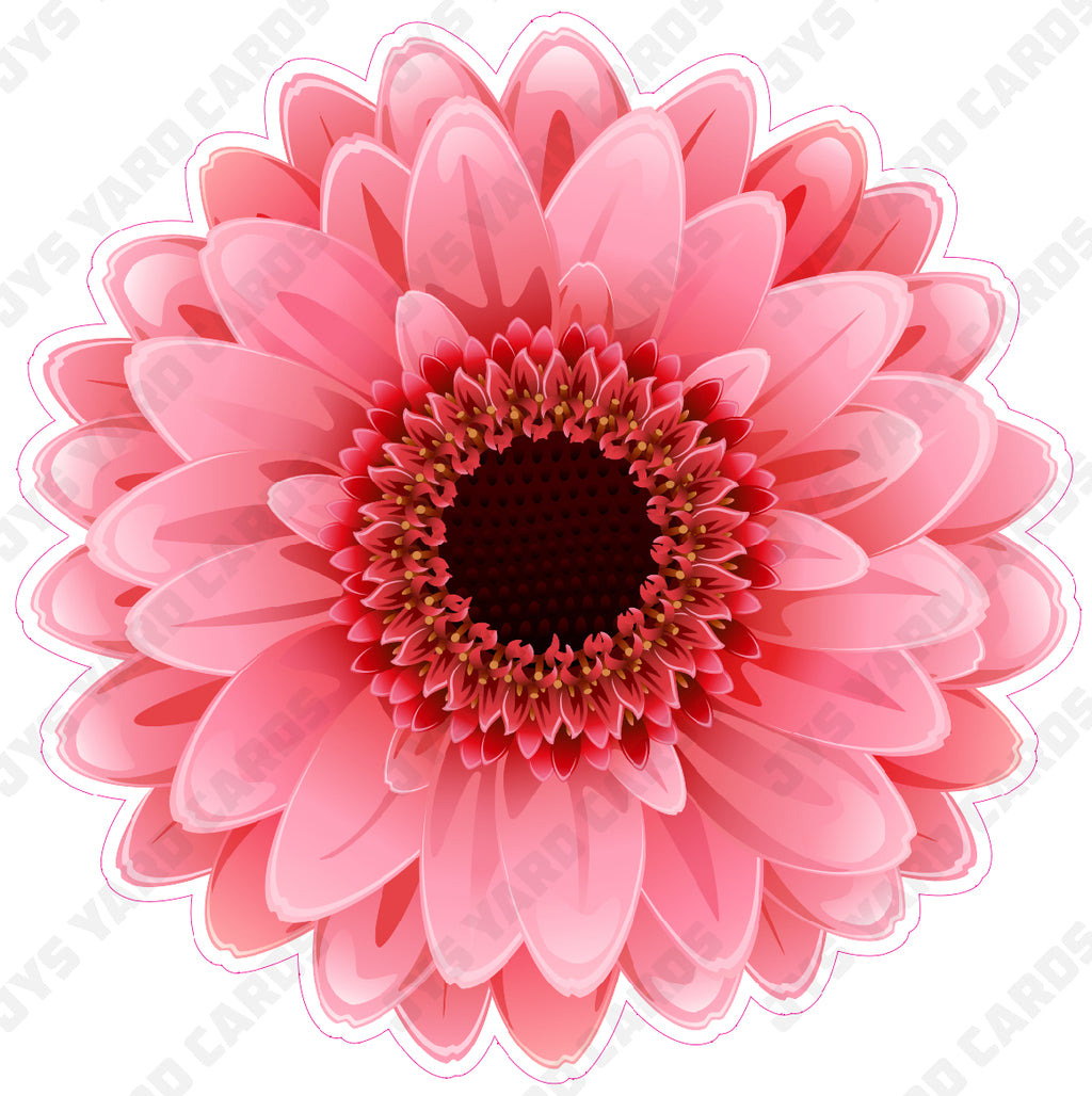 FLOWER: GERBERA PINK - Yard Card Signs by JYS International