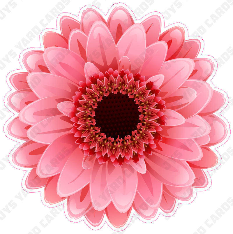 FLOWER: GERBERA PINK - Yard Card Signs by JYS International