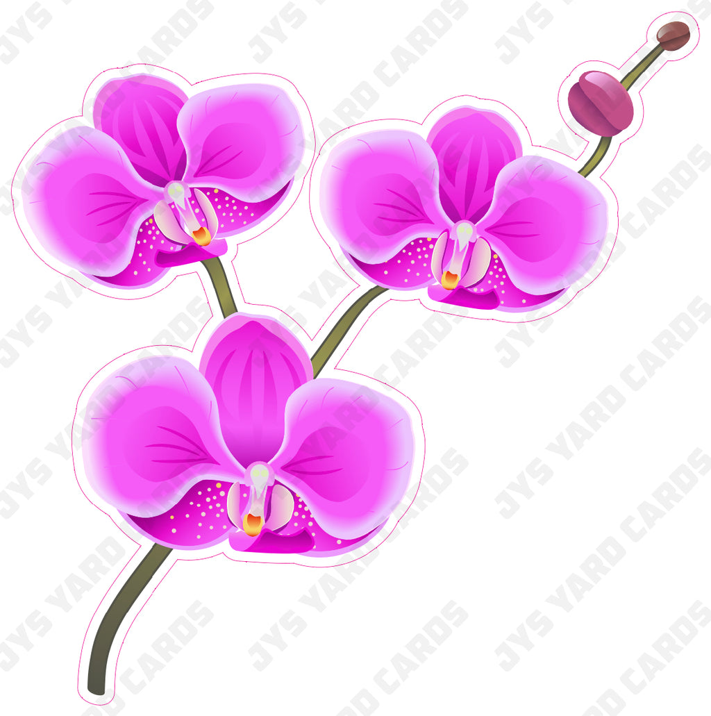 FLOWER: ORCHID - Yard Card Signs by JYS International