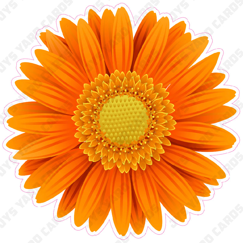 FLOWER: GERBERA - Yard Card Signs by JYS International