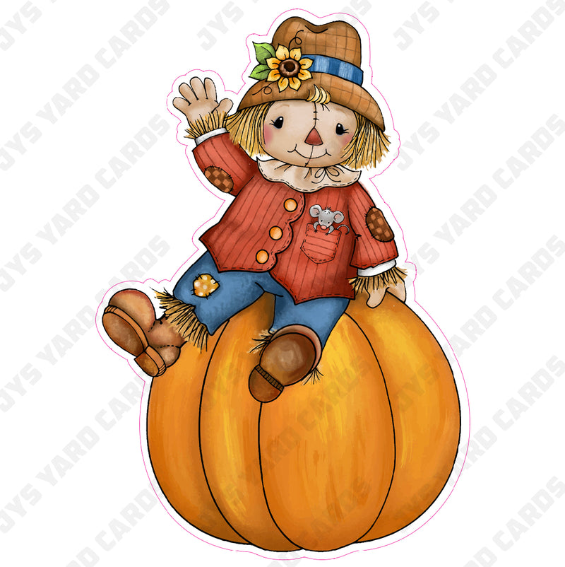 SCARECROW ON PUMPKIN - Yard Card Signs by JYS International