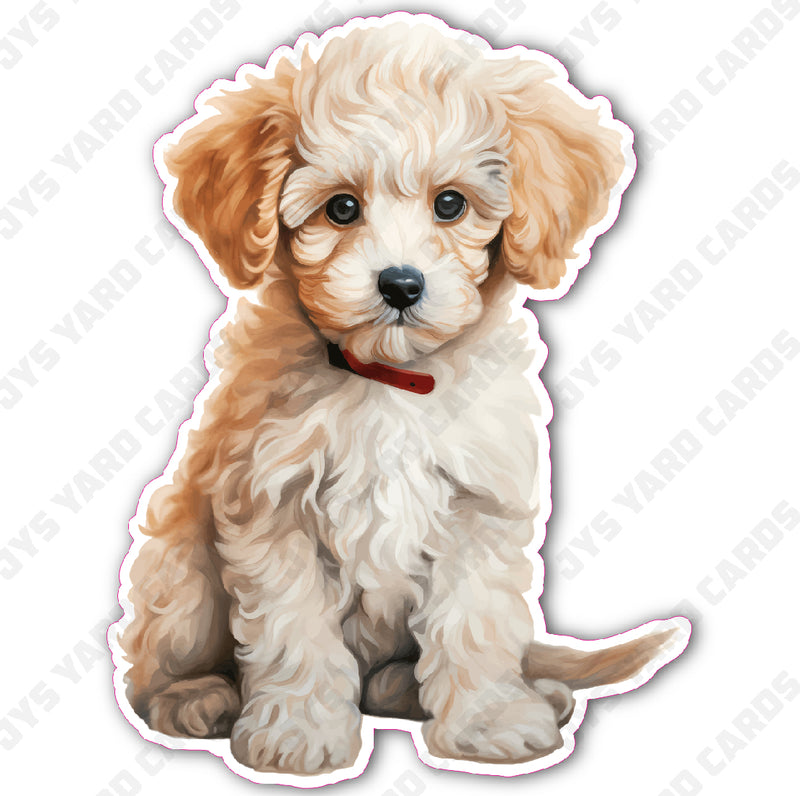 CUTE PUPPY: GOLDENDOODLE - Yard Card Signs by JYS International