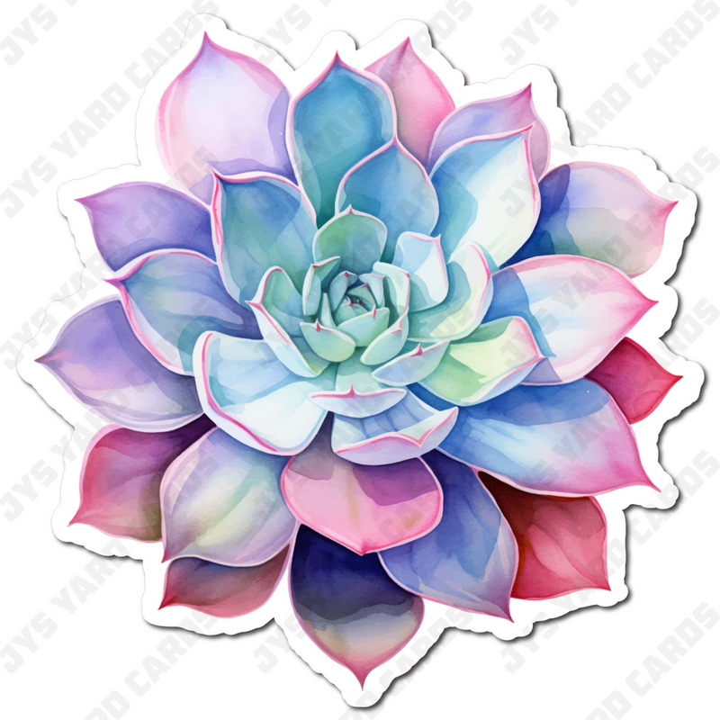 SUCCULENT 10 - Yard Card Signs by JYS International