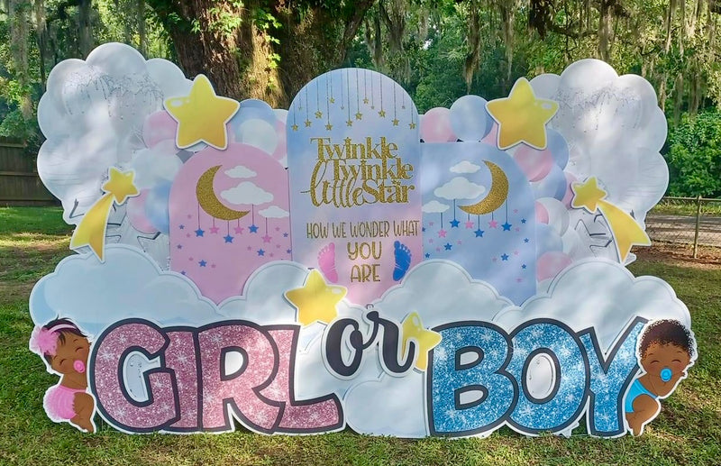 ARCHED BACKDROP: TWINKLE TWINKLE GENDER REVEAL - Yard Card Signs by JYS International