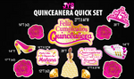 QUINCEANERA QUICK SET - Yard Card Signs by JYS International